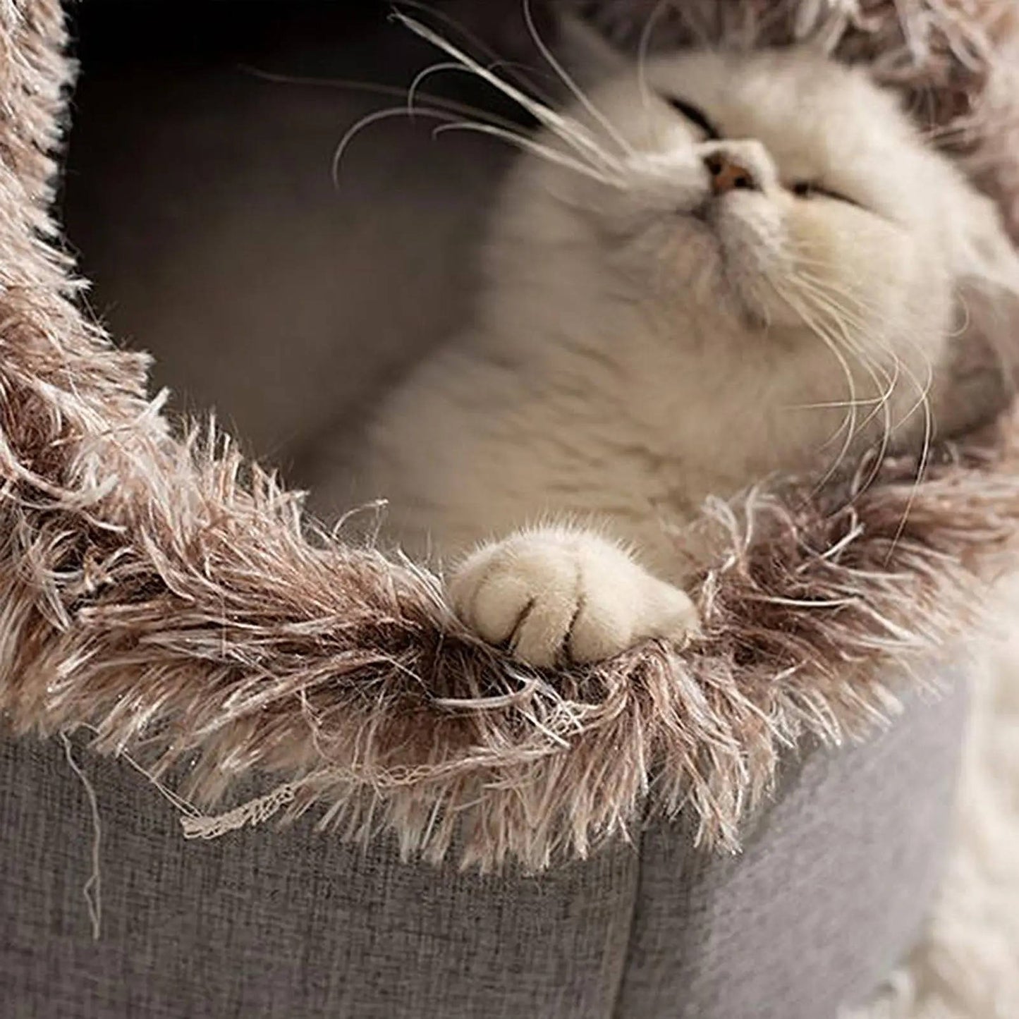 Cozy Winter Cat Bed for Warm, Snug Naps