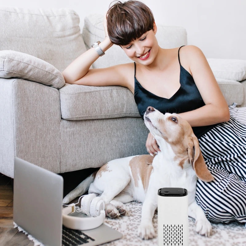 Pet Air Purifier - Clean, Fresh Air for Your Furry Friends