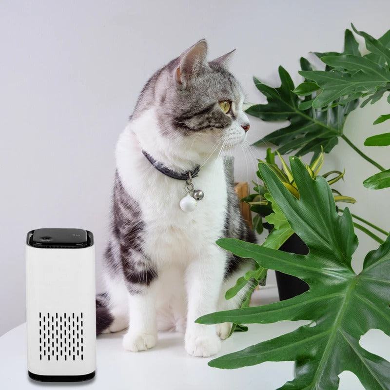 Pet Air Purifier - Clean, Fresh Air for Your Furry Friends