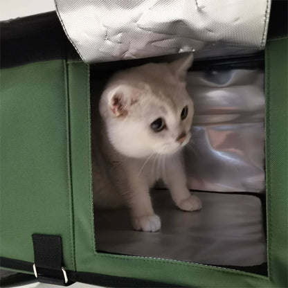 Winter-Ready Heated Outdoor Cat House